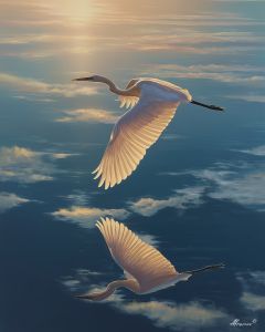 STILLNESS IN FLIGHT