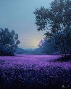 MIDNIGHT MEADOW
