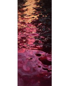 VELVET REFLECTIONS