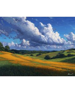 CLOUDLIGHT MEADOW