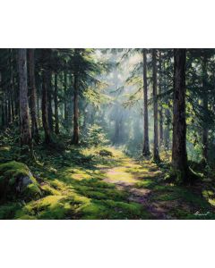 FOREST CLEARING