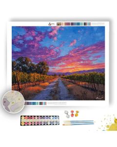 WINE ROAD SUNSET - Paint by Numbers Full Kit