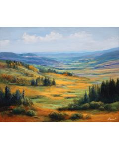 NORTHERN HILLS LIGHT