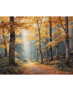 BAVARIAN FOREST PATH