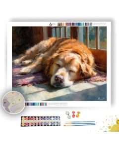 DOG IN SUNLIGHT - Paint by Numbers Full Kit