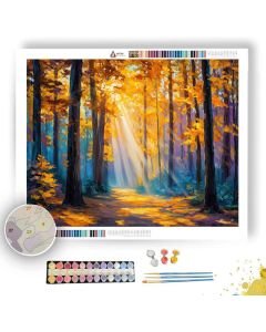 FOREST SUNBEAMS FALL - Paint by Numbers Full Kit