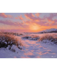 HOKKAIDO WINTER GLOW