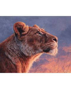 LIONESS AND SKY