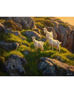 GOATS IN THE HILLS
