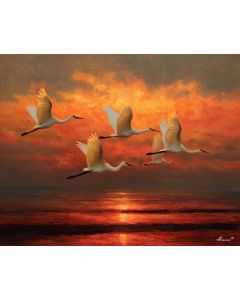 WINGS OVER WATER