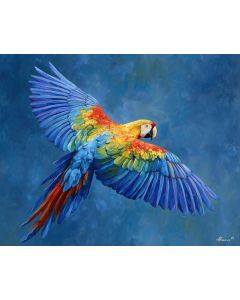 PARROT SYMPHONY
