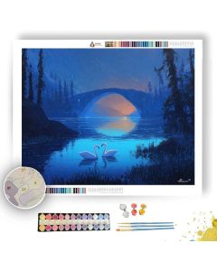 SWAN SERENADE - Paint by Numbers Full Kit