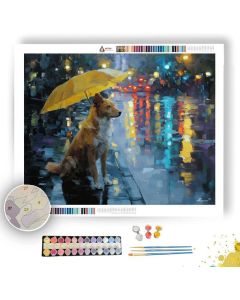 RAINY PARK DOG - Paint by Numbers Full Kit