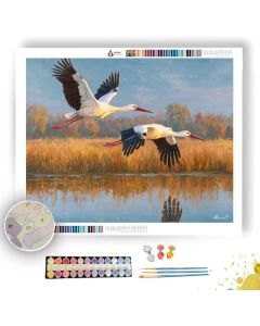 STORKS ABOVE WATER - Paint by Numbers Full Kit