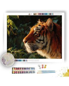 TIGER IN SUNLIGHT - Paint by Numbers Full Kit