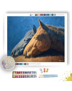 HORSES AT REST - Paint by Numbers Full Kit