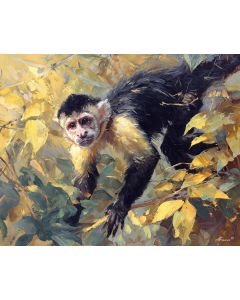 MONKEY IN SUNLIGHT