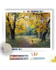 DOG IN AUTUMN PARK - Paint by Numbers Full Kit
