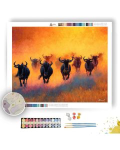 WILDEBEEST RUSH - Paint by Numbers Full Kit