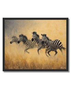 ZEBRAS IN MOTION - FRAMED