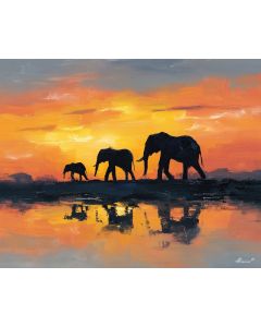ELEPHANT TWILIGHT WALK