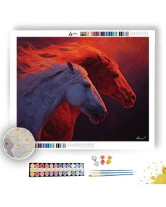 HORSES OF LIGHT - Paint by Numbers Full Kit