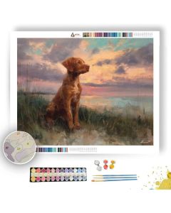 DOG BY THE SEA - Paint by Numbers Full Kit
