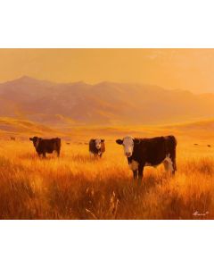 PASTURE GLOW