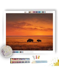BISON AT SUNSET - Paint by Numbers Full Kit