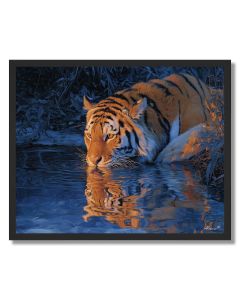 TIGER STREAM REFLECTION - FRAMED