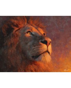 LION AT SUNSET
