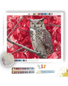 OWL IN THE MAPLES - Paint by Numbers Full Kit