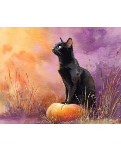 BLACK CAT TWILIGHT