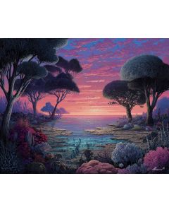 MADAGASCAR LIGHT FIELD