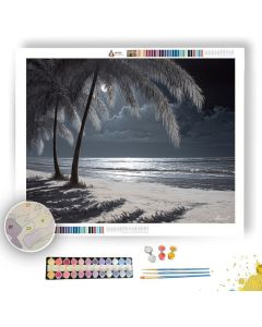 ZANZIBAR MOONLIGHT BEACH - Paint by Numbers Full Kit