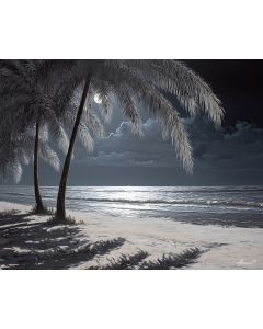 ZANZIBAR MOONLIGHT BEACH