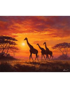 SERENGETI SUNRISE