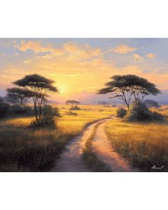KENYAN SUNLIT TRAIL