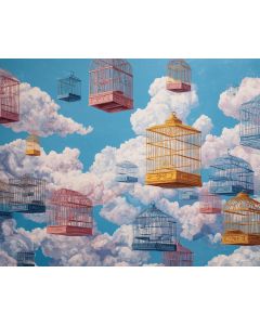 BIRD CAGE SKY