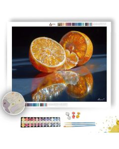 FRUIT SKIN UNIVERSE - Paint by Numbers Full Kit