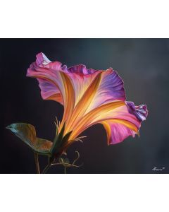 PETAL CURVE SHADOW