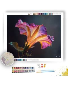 PETAL CURVE SHADOW - Paint by Numbers Full Kit
