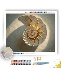 SHELL SPIRAL LIGHT - Paint by Numbers Full Kit