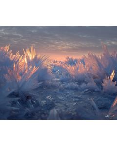 ICE CRYSTAL FOREST