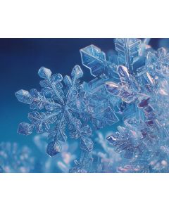 SNOWFLAKE CORE