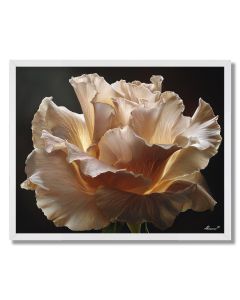 PETAL EDGE LIGHT - FRAMED