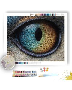 MOTH EYE DETAIL - Paint by Numbers Full Kit