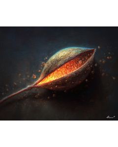 COLOR SEED WORLD