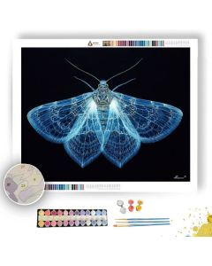LUMINESCENT MOTH - Paint by Numbers Full Kit
