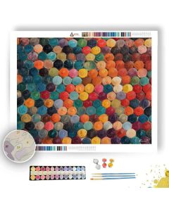 PRINTED DOT FIELD - Paint by Numbers Full Kit